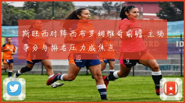 斯旺西对阵西布罗姆维奇前瞻 主场争分与排名压力成焦点